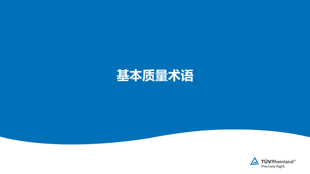 基本质量术语