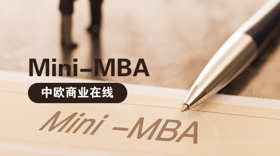 Mini-MBA