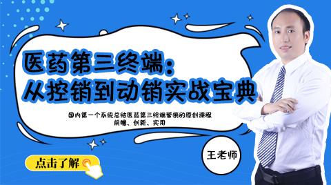 医药第三终端：从控销到动销实战宝典