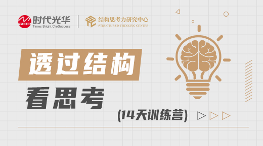 透过结构看思考训练营（14天）